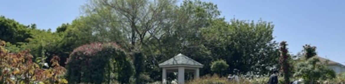 ダウンロードサイト